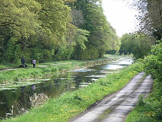 <span class="mw-page-title-main">Royal Canal</span> 19th century construction in Ireland