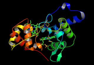 <span class="mw-page-title-main">Thiosulfate dehydrogenase</span>