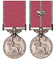Medalla de l'Imperi Britànic (la de la dreta amb les fulles de roure per valentia)