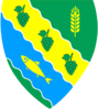 Coat of arms of Safiany rural hromada