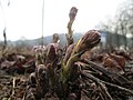 Saarbrücken, Februar 2018