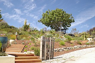 <span class="mw-page-title-main">Arboretum at the University of California, Santa Cruz</span> Arboretum in Santa Cruz, California