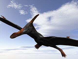 <i>Caulkicephalus</i> Genus of anhanguerid pterosaur from the Early Cretaceous