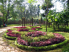 Kandawgyi National Garden