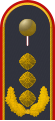 Jacke Dienstanzug Luftwaffenuniformträger General