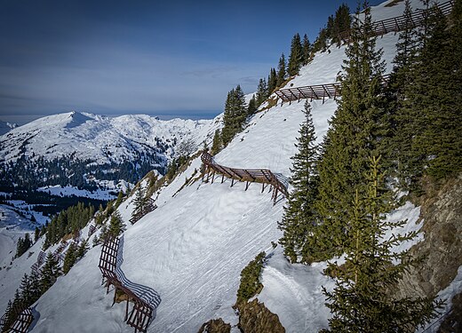 Lawinenfangzäune am Walmendingerhorn (Kleinwalsertal)