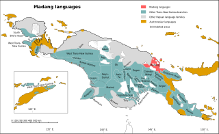 <span class="mw-page-title-main">Madang languages</span> Papua New Guinean language family