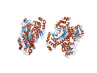 <span class="mw-page-title-main">Homoserine dehydrogenase</span> Enzyme