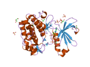 2biy: STRUCTURE OF PDK1-S241A MUTANT KINASE DOMAIN