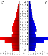 Bevolkingspiramide Bulloch County