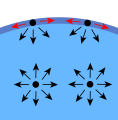 Cohesive liquids have surface tension to hold themselves into droplets.