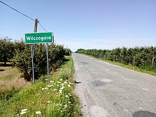 Sady w Wilczogórze