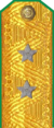 погоны 1943