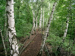 12.8.06 Natur-Park Südgelände