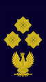 Italian State Police