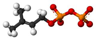 <span class="mw-page-title-main">Dimethylallyl pyrophosphate</span> Chemical compound