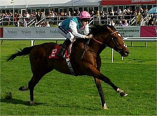 <span class="mw-page-title-main">Frankel (horse)</span> British Thoroughbred racehorse