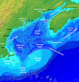 <span class="mw-page-title-main">Ocean bank</span> A part of the sea which is shallow compared to its surrounding area