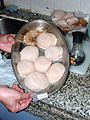 A pan of scallops is shown being held by human hands