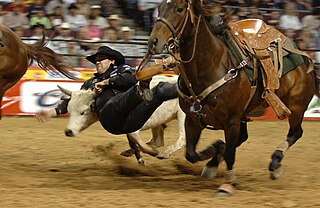 National Finals Rodeo