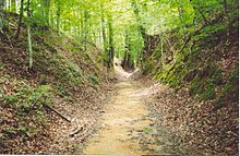 The Natchez Trace is a trail, that was created and used by Native Americans in the United States for centuries, and was later used by early European and Americans. OldTraceSunken.jpg