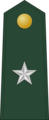 Brigadier general (Philippine Army)[41]