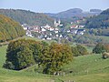 Blick auf Padberg im Jahr 2007