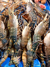 Prawns for sale in a fish market of Kolkata Prawns-2024.jpg