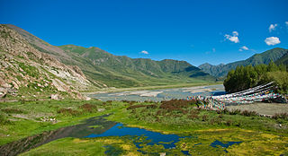 <span class="mw-page-title-main">Reting Tsangpo</span> River in Tibet