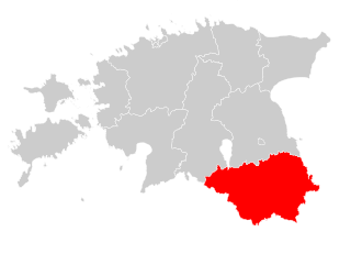 <span class="mw-page-title-main">Riigikogu electoral district no. 11</span> Electoral district of Estonia