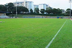 Blick auf das Spielfeld