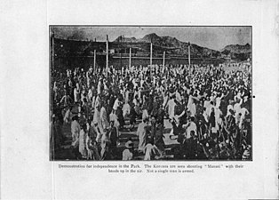 Demonstration for independence in the Park. The Koreans are seen shouting "Mansei" with their hands up in the air. Not a single man is armed,(공원에서의 독립 시위. 조선인들은 손을 들고 만세를 외치는 듯 보인다. 무장을 한 사람은 한명도 없다.)