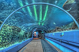 Exhibit tunnel at Georgia Aquarium, Atlanta, USA