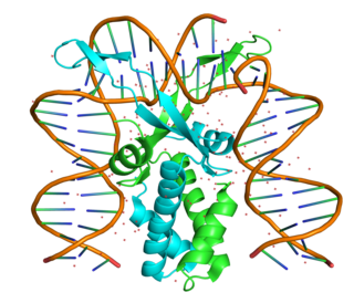 <span class="mw-page-title-main">Integration host factor</span>