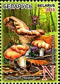 Stamp of Belarus (2013)