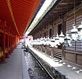 Bronze lanterns within Kasuga Shrine, Nara