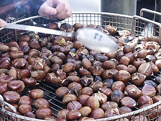 <span class="mw-page-title-main">Roasted chestnut</span> Popular autumn and winter street food