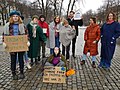 Proteste ad Oslo, Norvegia il 15 marzo 2019