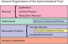 GI Organization.svg