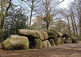 T-shaped Hunebed D27 in Borger-Odoorn, Netherlands.