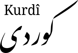 <span class="mw-page-title-main">Kurdish language</span> Northwestern Iranian dialect continuum