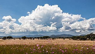 Paysage mexicain.