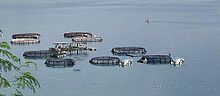 Large circular structures on the water surface, some with docked boats alongside