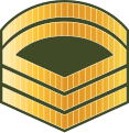 Maldives-Army-OR-7.svg