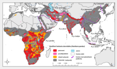 Mapa historického (cca 1750) a současného (2016) rozšíření levharta skvrnitého