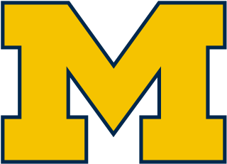 <span class="mw-page-title-main">2015 Michigan Wolverines football team</span> American college football season