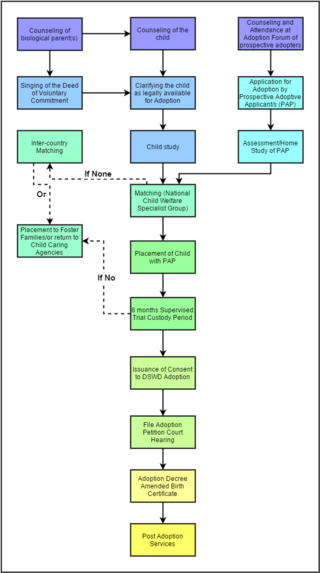 <span class="mw-page-title-main">Adoption in the Philippines</span>