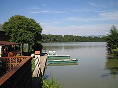 Fiŝlago Broumar