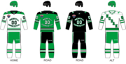 Thumbnail for North Dakota Fighting Hawks men's ice hockey