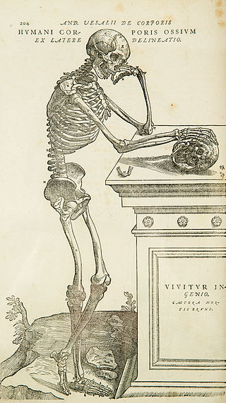 <span class="mw-page-title-main">Anatomy</span> Study of the structure of organisms